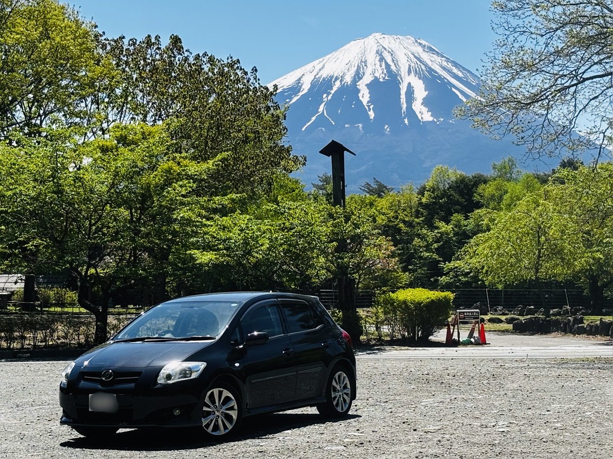 ちび太郎 tweet media