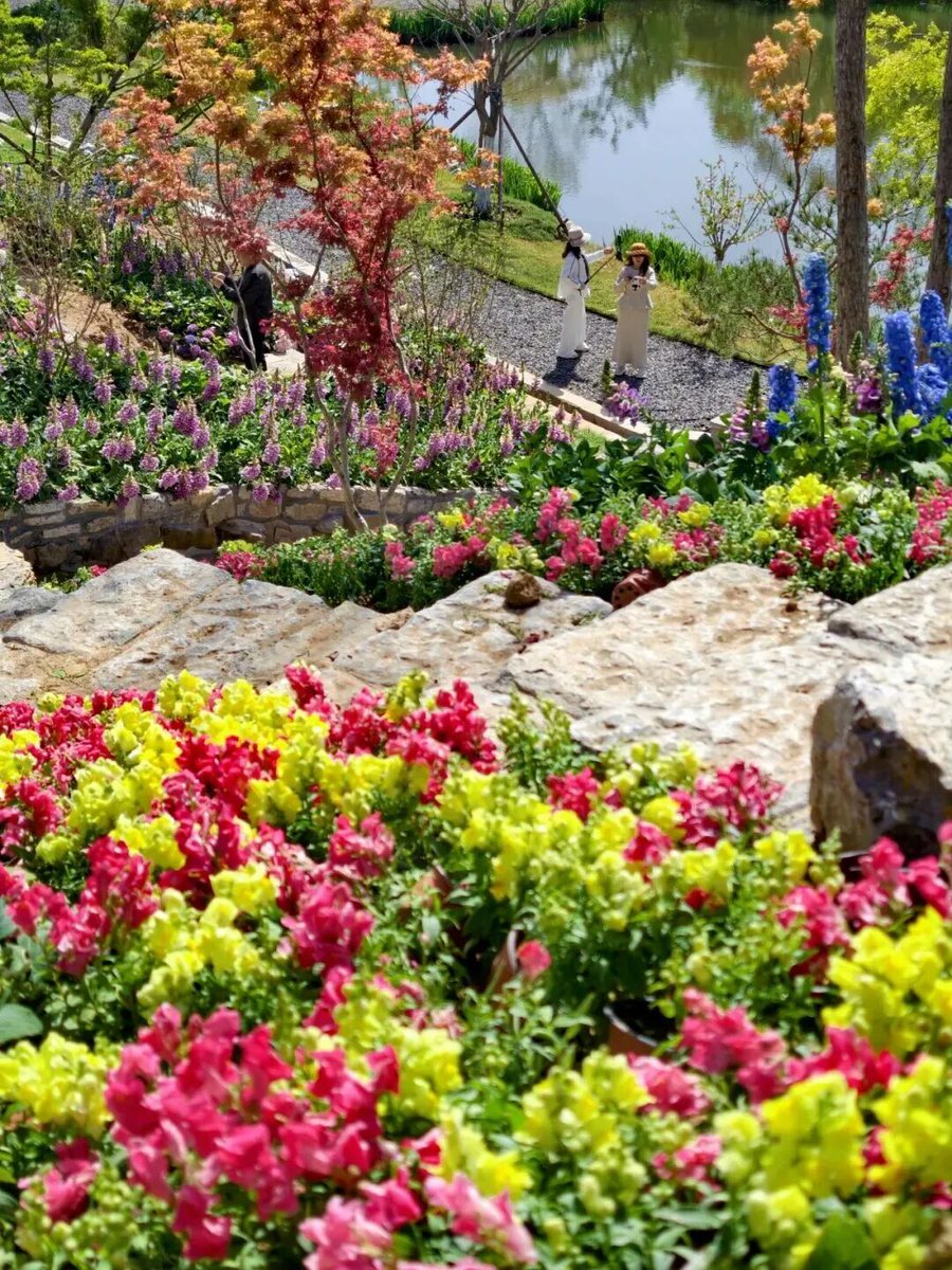 Qingdao West Coast New Area tweet media