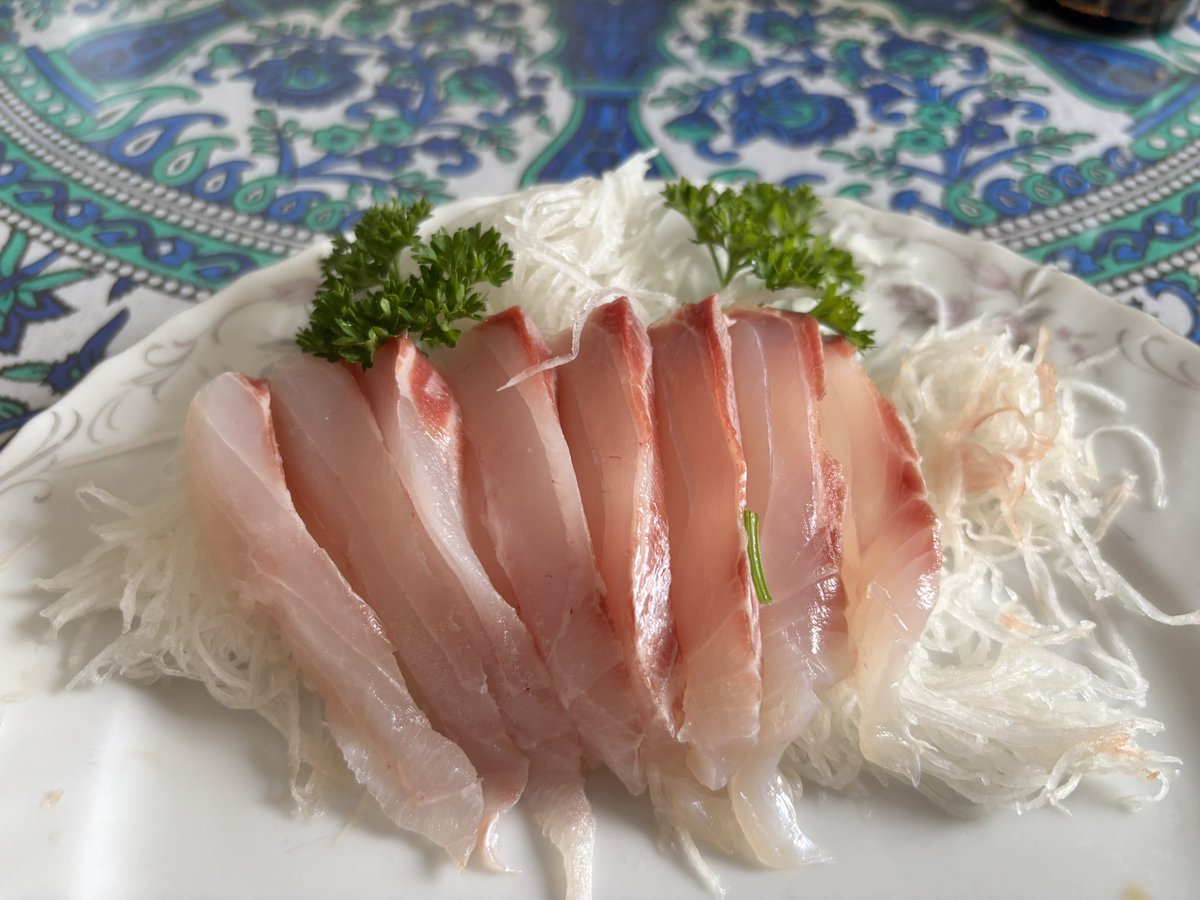 釣り人の特権

平日の昼から石鯛の刺身🐠