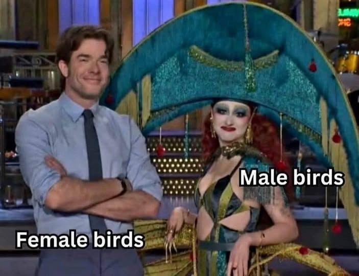 dinosaur tweet media