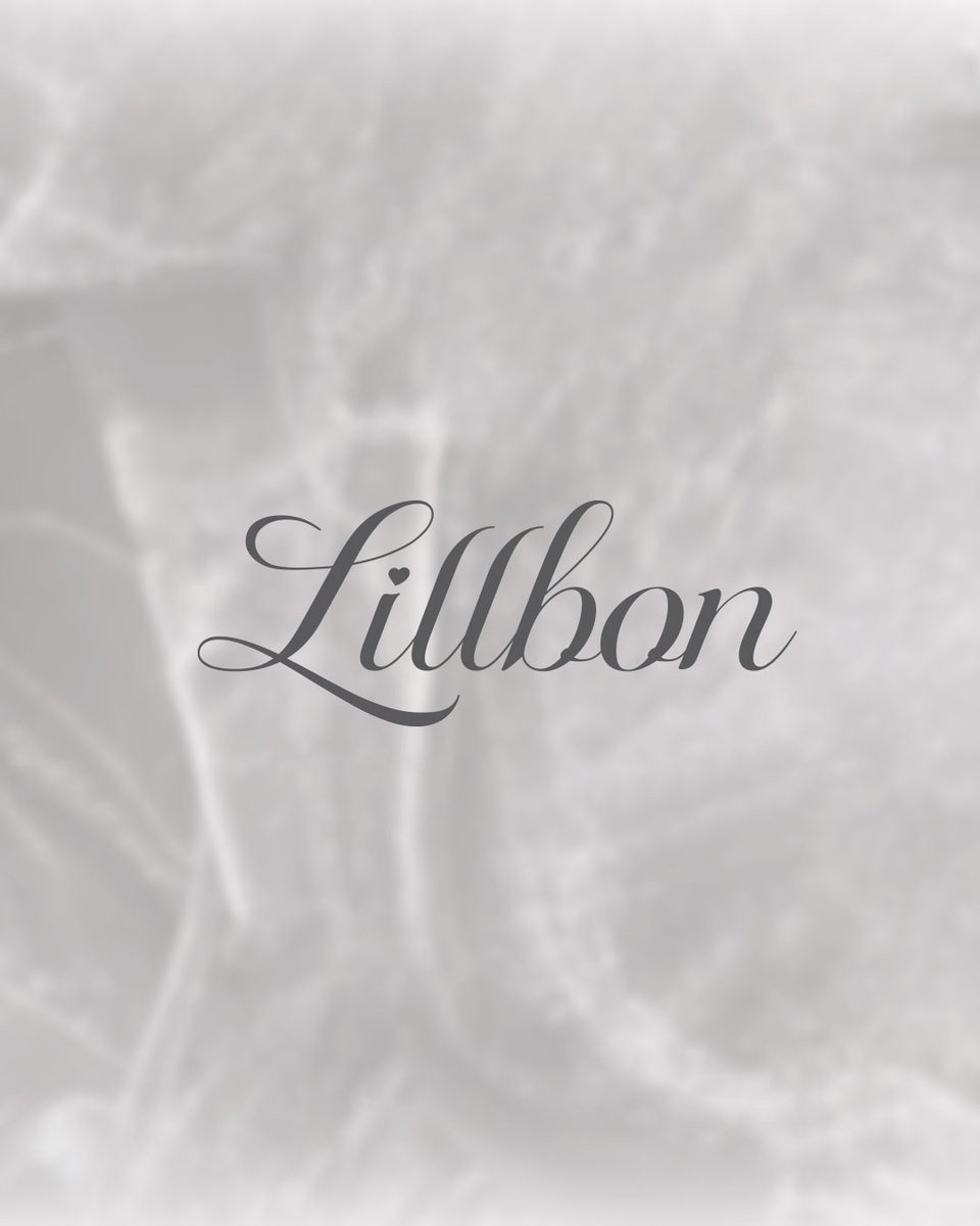 Lillbon tweet media
