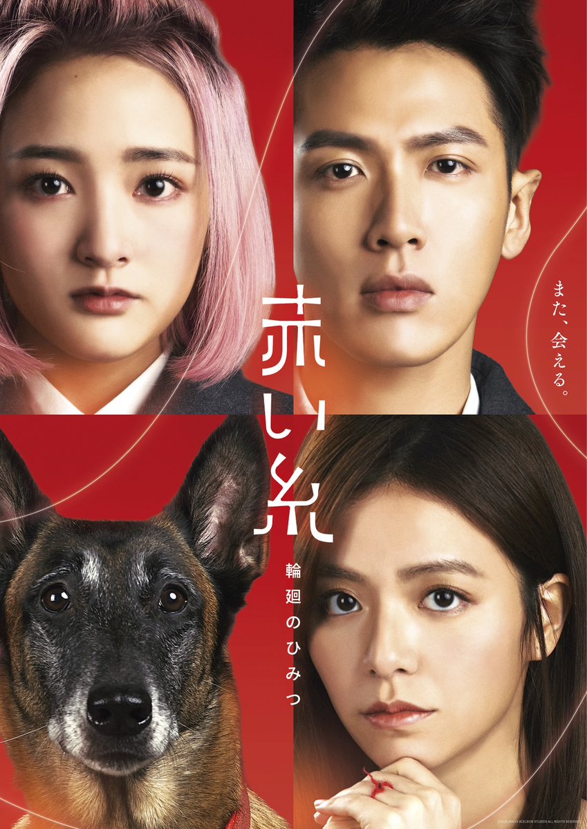 映画『赤い糸 輪廻のひみつ(原題:月老)』公式 tweet media