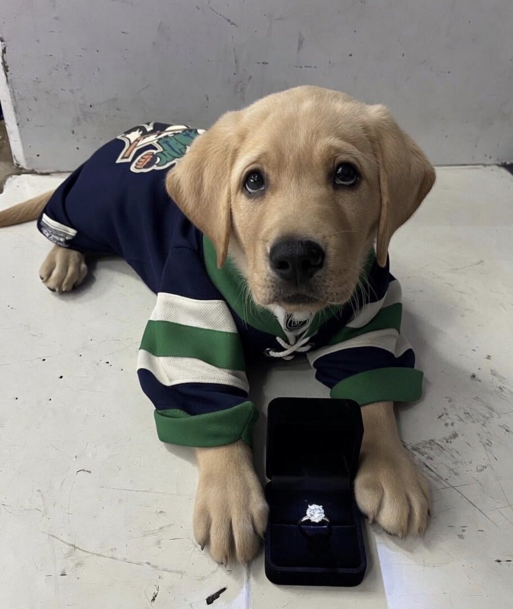 Canuck19 tweet media