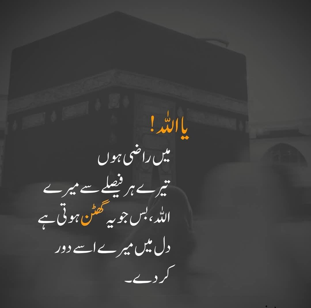 Ashiq Ali tweet media