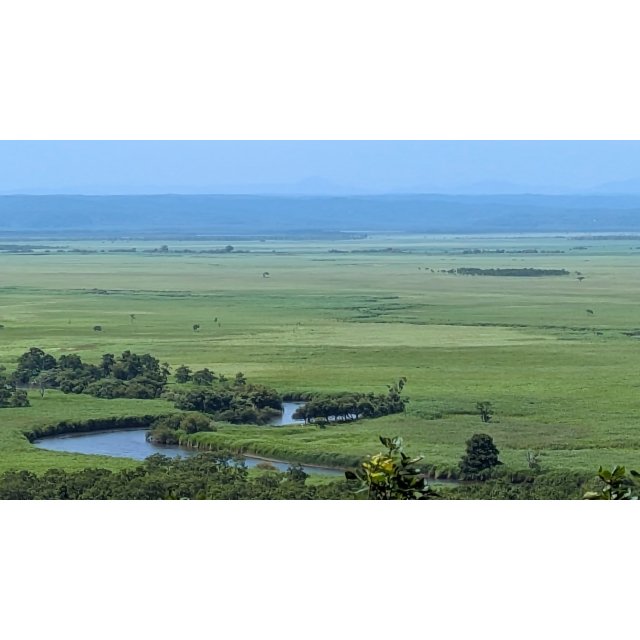 釧路湿原を守ることが、温暖化対策になる。
それを壊してメガソーラーを建てるのは、本末転倒だ。

その矛盾と数字を、ブログにまとめました。
👇
【ブログURL】
釧路湿原のメガソーラー問題｜CO2を守る湿原を、なぜ壊すのか - 木村はやと（キムラハヤト） ｜ 選挙ドットコム share.google/dXzojiGSKvLocl…