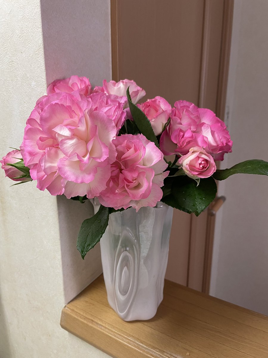 HappyGold57's tweet photo. お誕生日が、薔薇の花が綺麗に咲いている季節で、本当に良かった🌹(((o(*ﾟ▽ﾟ*)o)))♡🌹

我が家の薔薇も、ささやかにお祝いしてくれているみたいで、心が和みます🌹🥰🌹 https://t.co/9nrAaZTob4