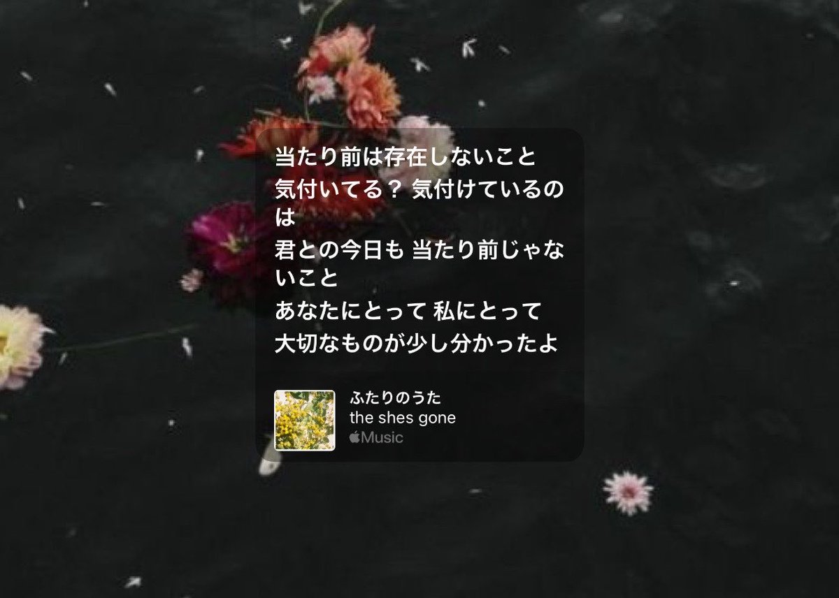 . ໋☪︎ tweet media