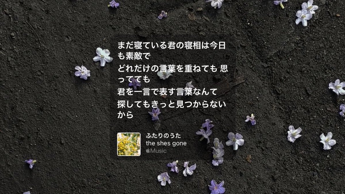 . ໋☪︎ tweet media