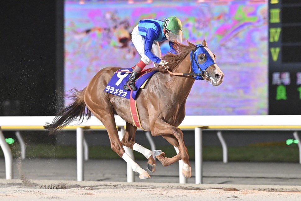 HatanoRacing's tweet photo. 5/6 船橋11R 東京湾カップ

馬主 : （株）フジイ興産　様

調教師 : 酒井 忍

騎手 : 池谷 匠翔

生産者 : 沖田 忠幸 

関係者の皆様、おめでとうございます✨

#ララメテオ
#酒井忍
#東京湾カップ https://t.co/RfwW1QxGy2