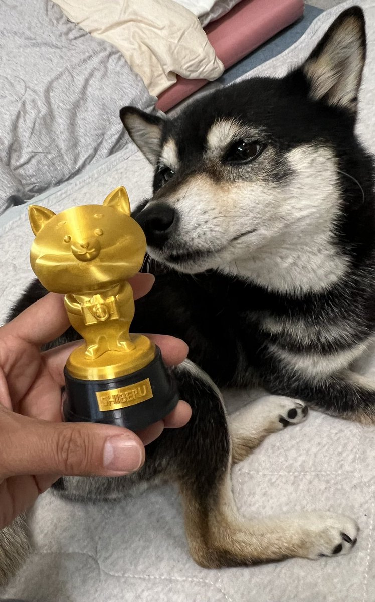 黒猫Mとみかんあんこゆきみ tweet media