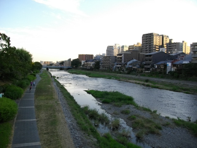 佐藤雅彦 tweet media