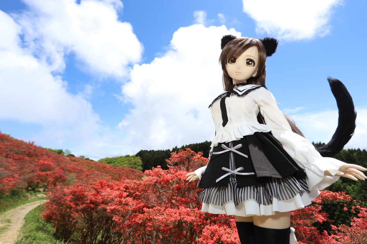 azuchi3's tweet photo. 一瞬だけ青空出たが、すぐに曇に戻りました。残念！！
人も増えてきたので、撤収します。 https://t.co/rcPOuFdjV1