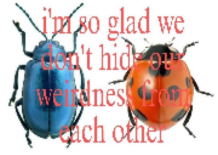 love drops tweet media