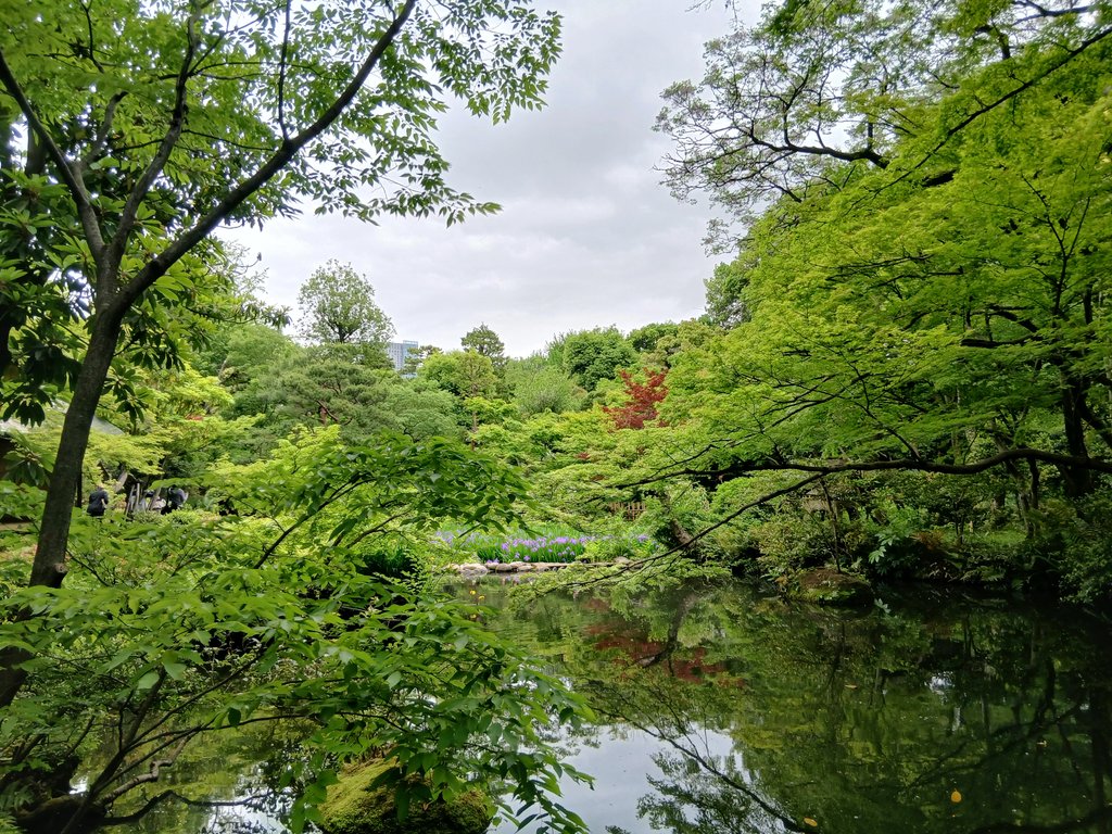 飯盛公子 tweet media