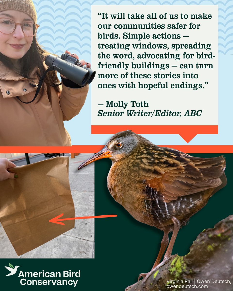 American Bird Conservancy tweet media