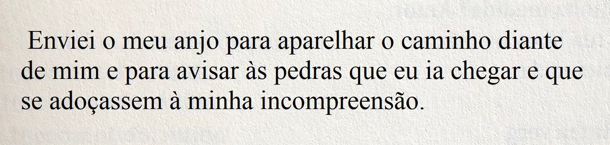 💐 tweet media
