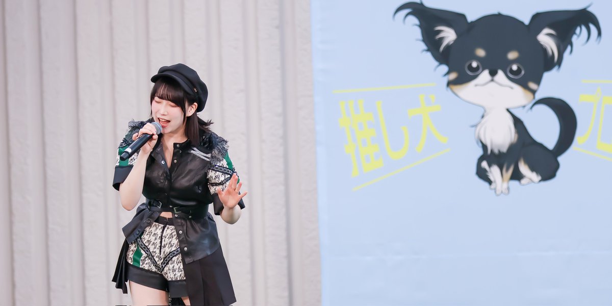 260426 
推し犬プロジェクトライブ2026
上野恩賜公園野外ステージ

四葉 みことさん
ソロ！！

#新世界ギルドール 
#推しかがは永遠に