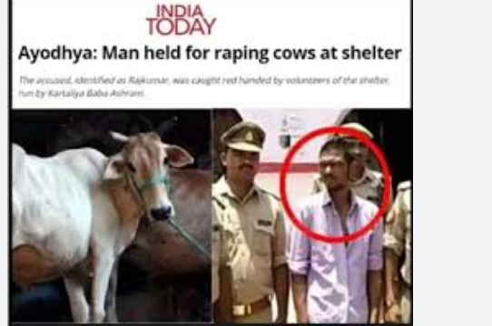 Proud Pakistani tweet media