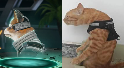 #Streamkyo