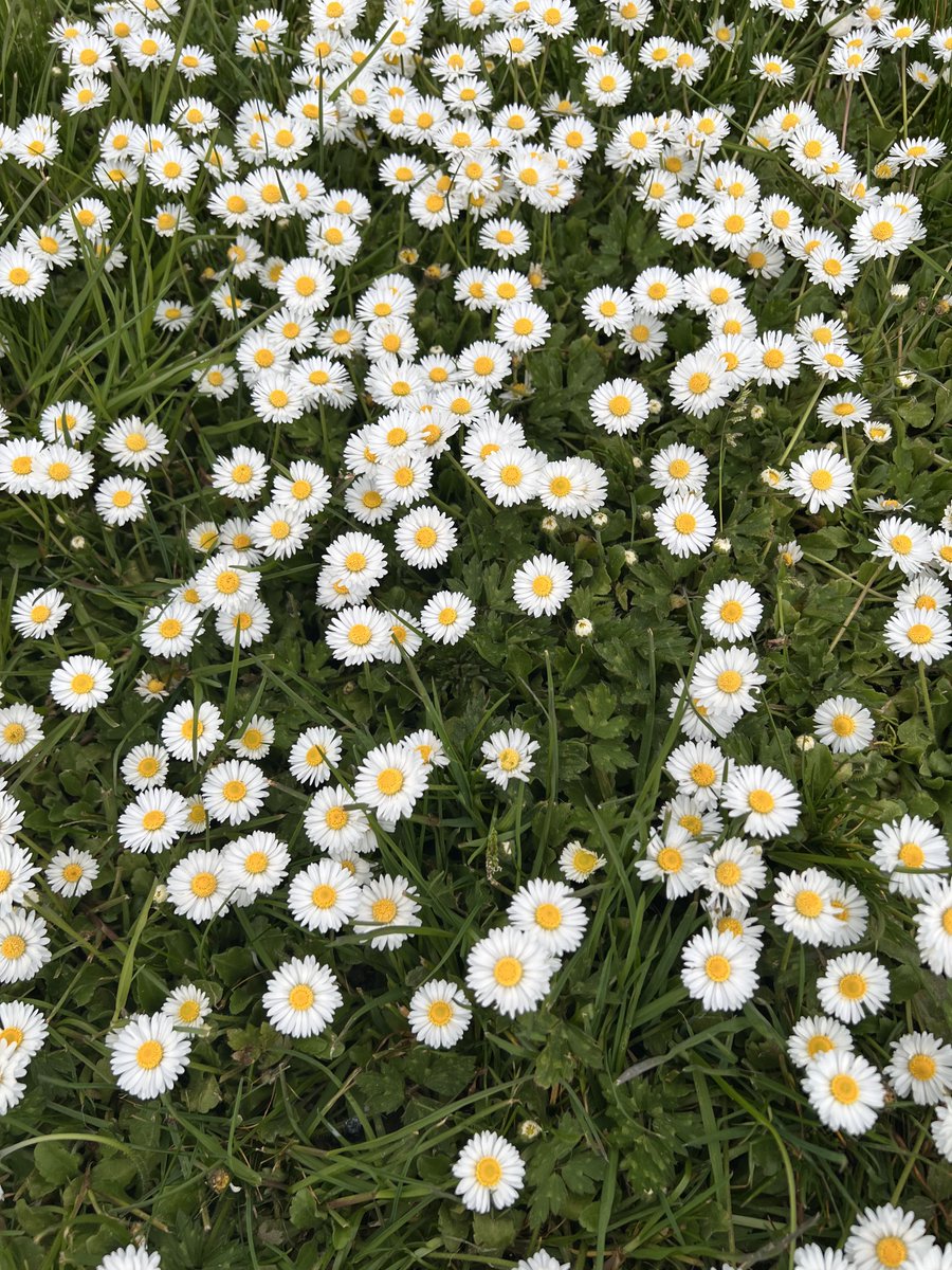 We can have a society that honors life🌲🍄🌻 tweet media