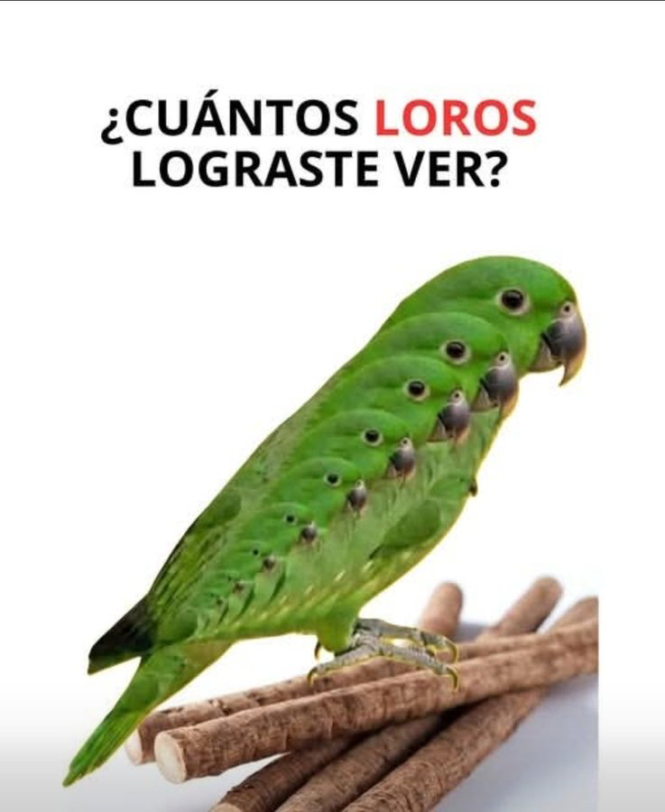 . tweet media