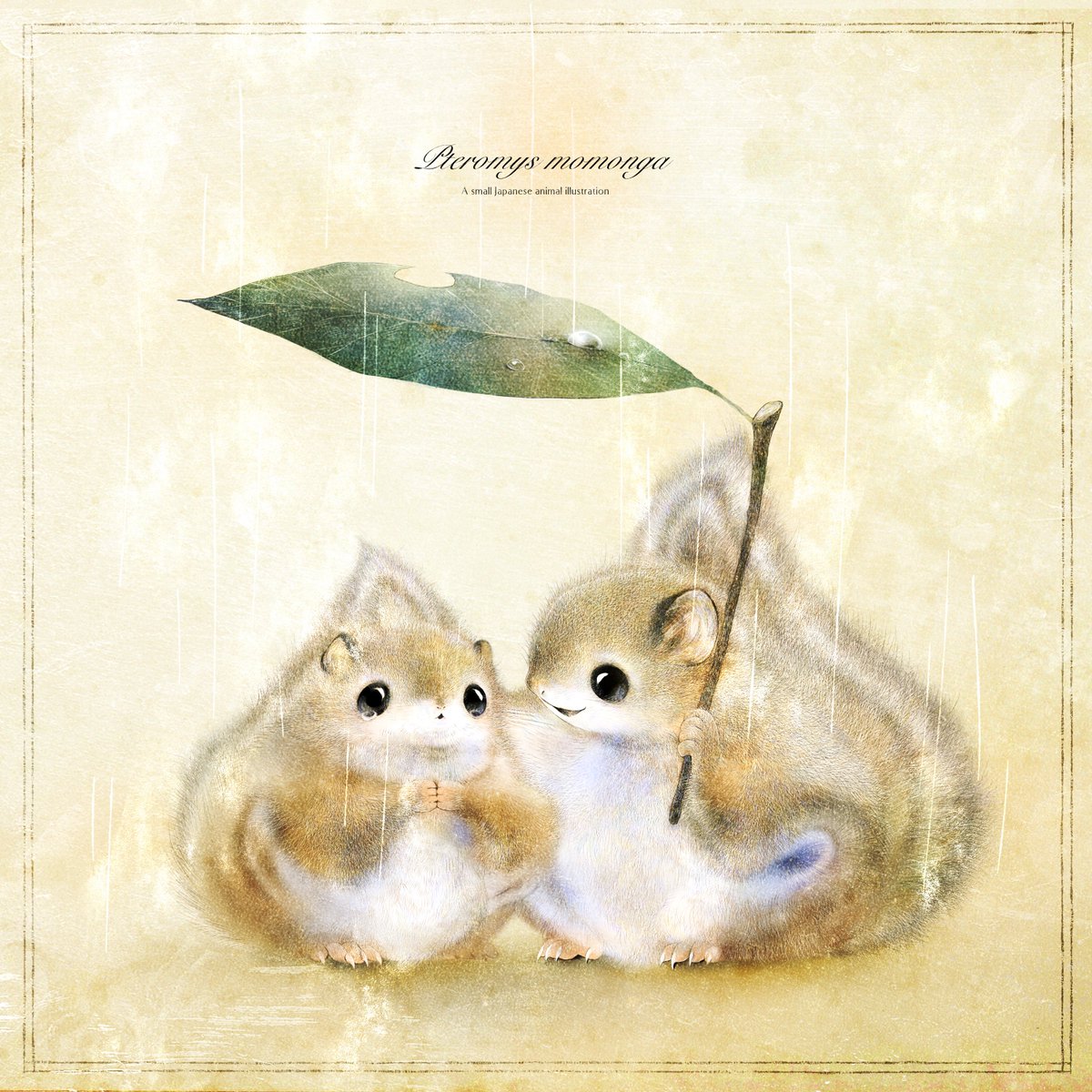 いぬい さえこ🐿️ tweet media