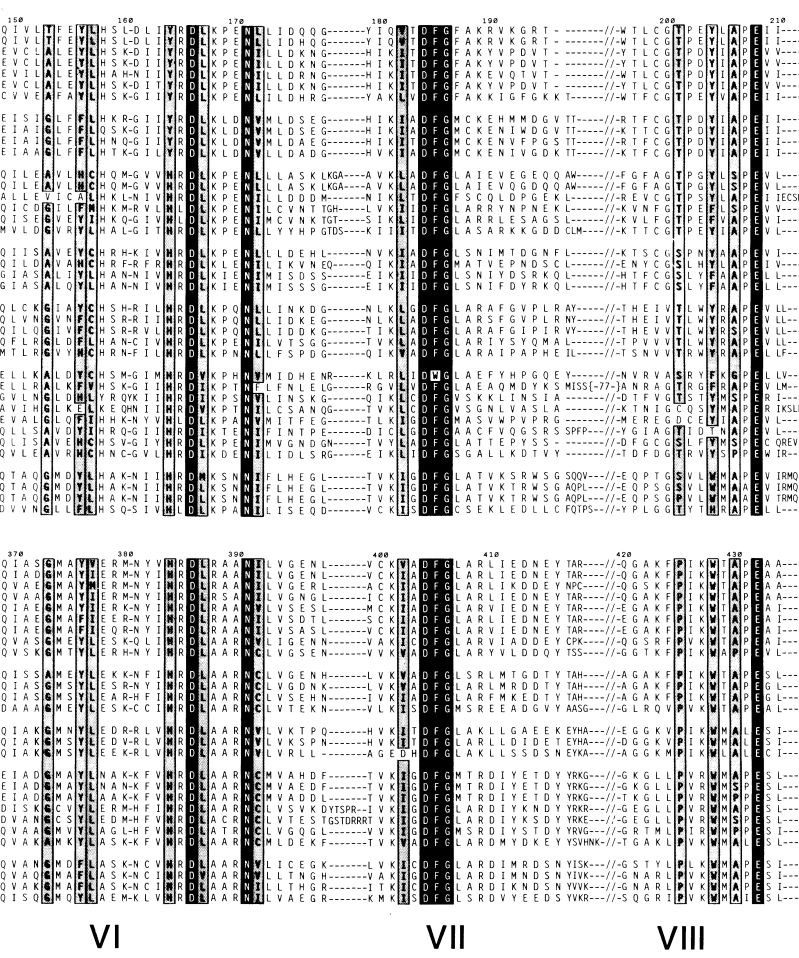 NaturePlants's tweet photo. A bit of sudden nostalgia: the 1988 seminal paper on kinase catalytic domains in @ScienceMagazine by @TonySalk. 65 sequences aligned manually. I read it so many times. 
https://t.co/oPp9qglZeq https://t.co/nLMXmdPcPL