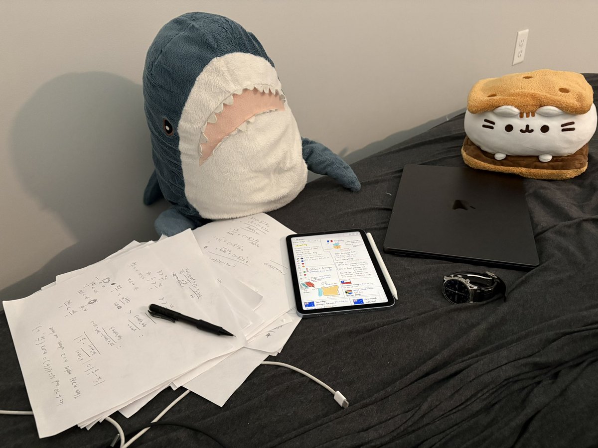 湖邊的貓 tweet media