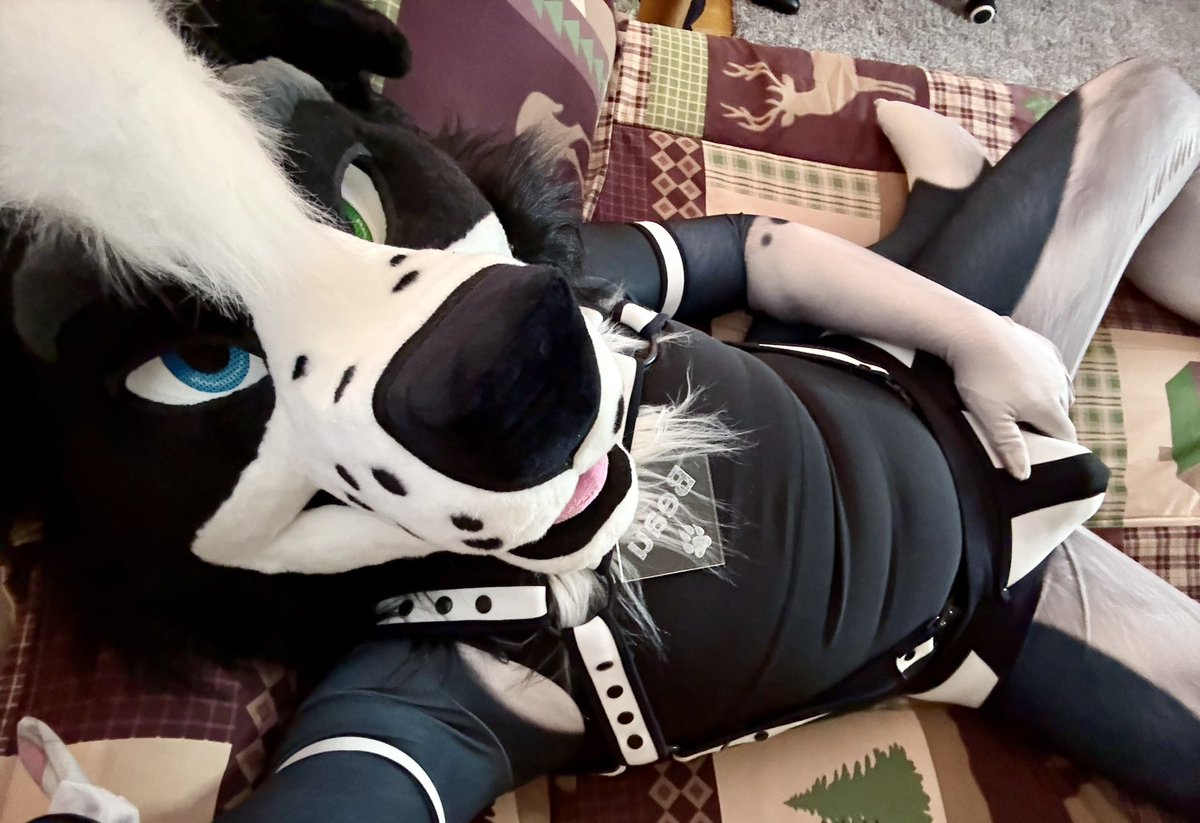 FarmDoggo's tweet photo. Woof woof bark bark…. Come lay on me 😋

🐶: @KinkyArtsAD 
🪡: @PETSUITFORFUN https://t.co/kqLG75CqZn