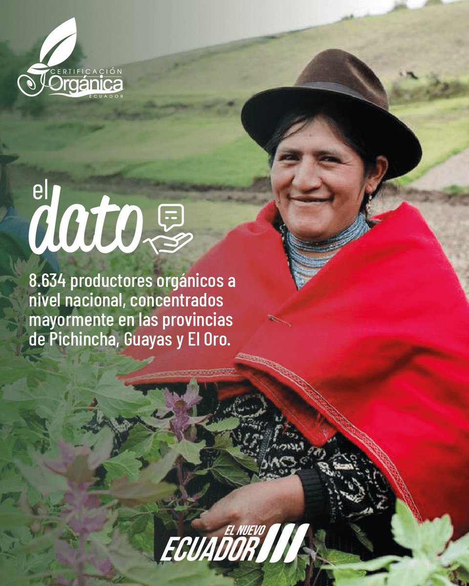 AgriculturaEc's tweet photo. Incorporar productos orgánicos en tu alimentación diaria es una decisión que genera impacto positivo.
Cuida tu bienestar, #ConsumeOrgánico
#ElNuevoEcuador https://t.co/NhNFActMNE