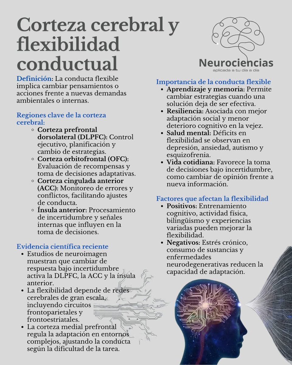 Corteza cerebral y flexibilidad conductual 👇👇👇👇👇