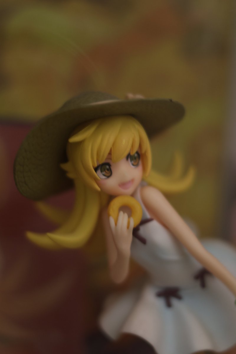 #ぱないの祭 #忍野忍