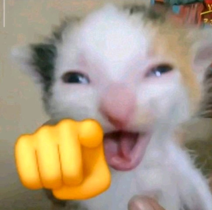 Sempisempi ☪︎. ݁ ˖☀︎. ݁ ˖𖥔 ݁ ˖ tweet media
