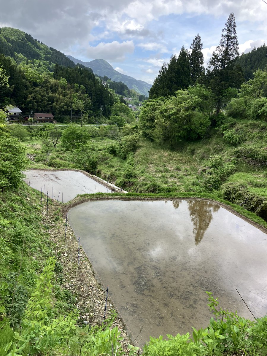 河本 大地 Daichi Kohmoto🌏 tweet media