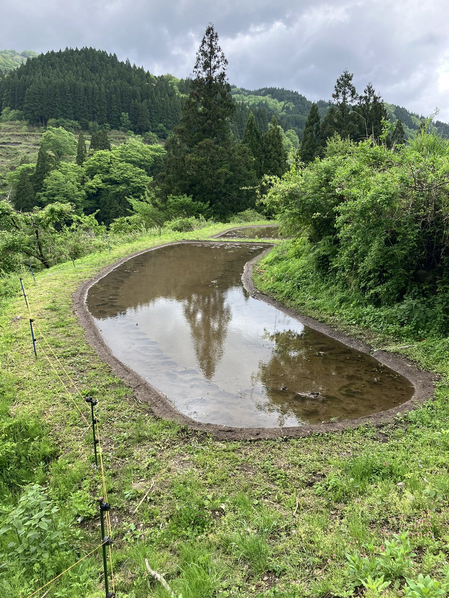 河本 大地 Daichi Kohmoto🌏 tweet media