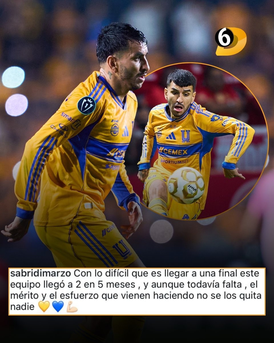 ENAMORADA DE TIGRES 🐯

La esposa de Ángel Correa, Sabrina Di Marzo, no ocultó su admiración por el equipo felino tras otra final conseguida en apenas cinco meses.

¿Llegará el primer título para "Angelito" con los auriazules?