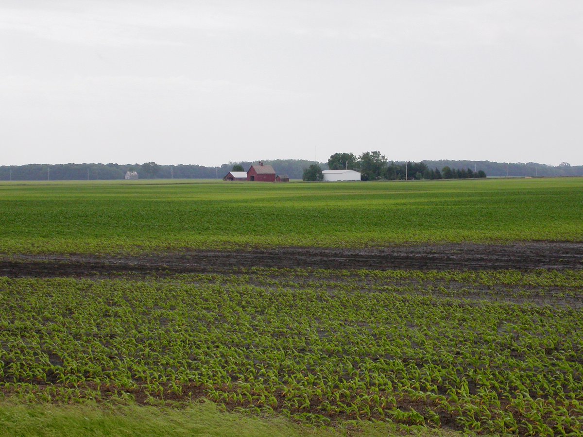 FSCooperatives's tweet photo. Learn more about nitrogen loss during a wet spring at https://t.co/4NTUSfUoG6. https://t.co/autFuE7wSM