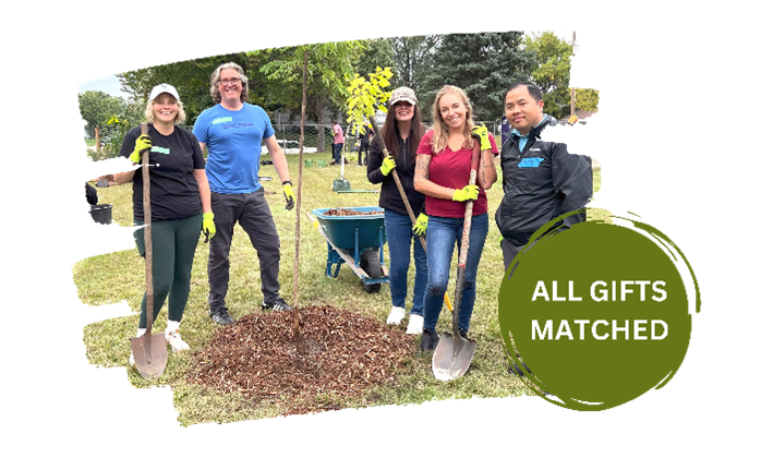 Tree Trust tweet media