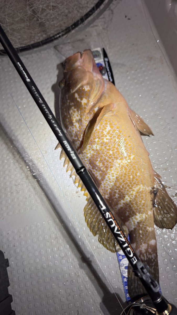 uni__fishing's tweet photo. エギゾースト1Gで挑んだ
ナイトボートロック
良いデビューになったのでは無かろうか🤔 https://t.co/GD9IJ81ZOE