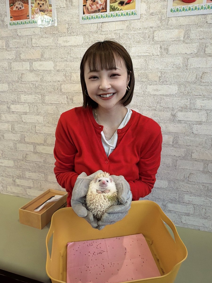 塩入りな tweet media
