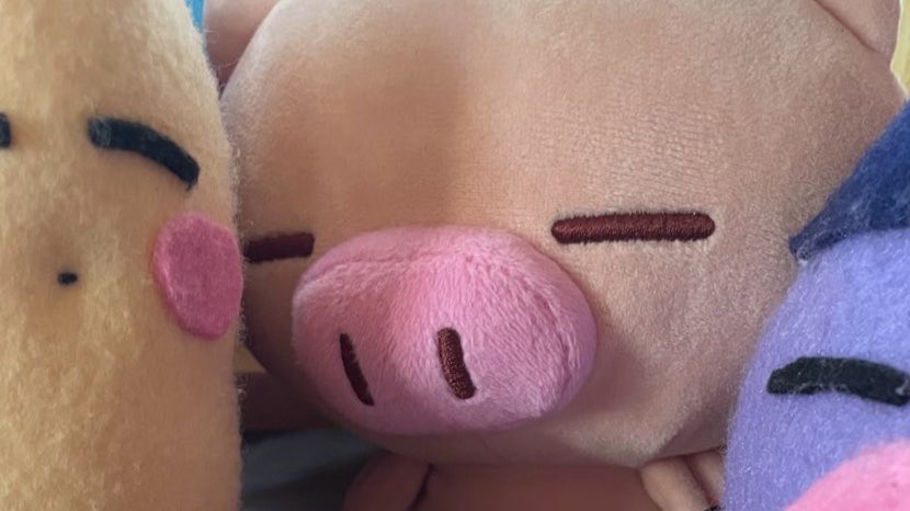 y_fiht's tweet photo. @takutofuri 
あらまあ✨
1日遅れですがお誕生日おめでとうございます♬🐽♬
素敵な一年になりますよう願っております🍀 https://t.co/kWyyYaj9sY