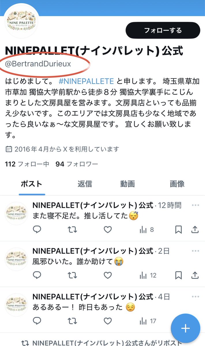 NINEPALLET(ナインパレット)公式 tweet media