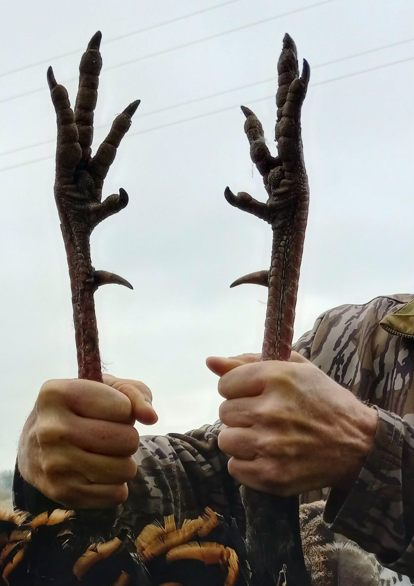 Conyers Outdoors tweet media