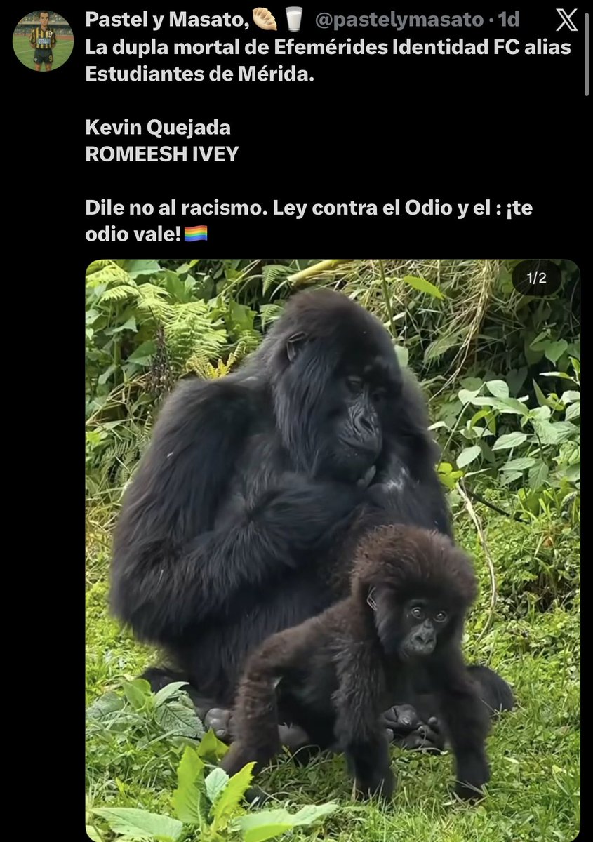 KQuejada's tweet photo. @pastelymasato Jajajajajaja , ahora escribe lo mismo pero sin llorar ! https://t.co/RNIkkDvuqp