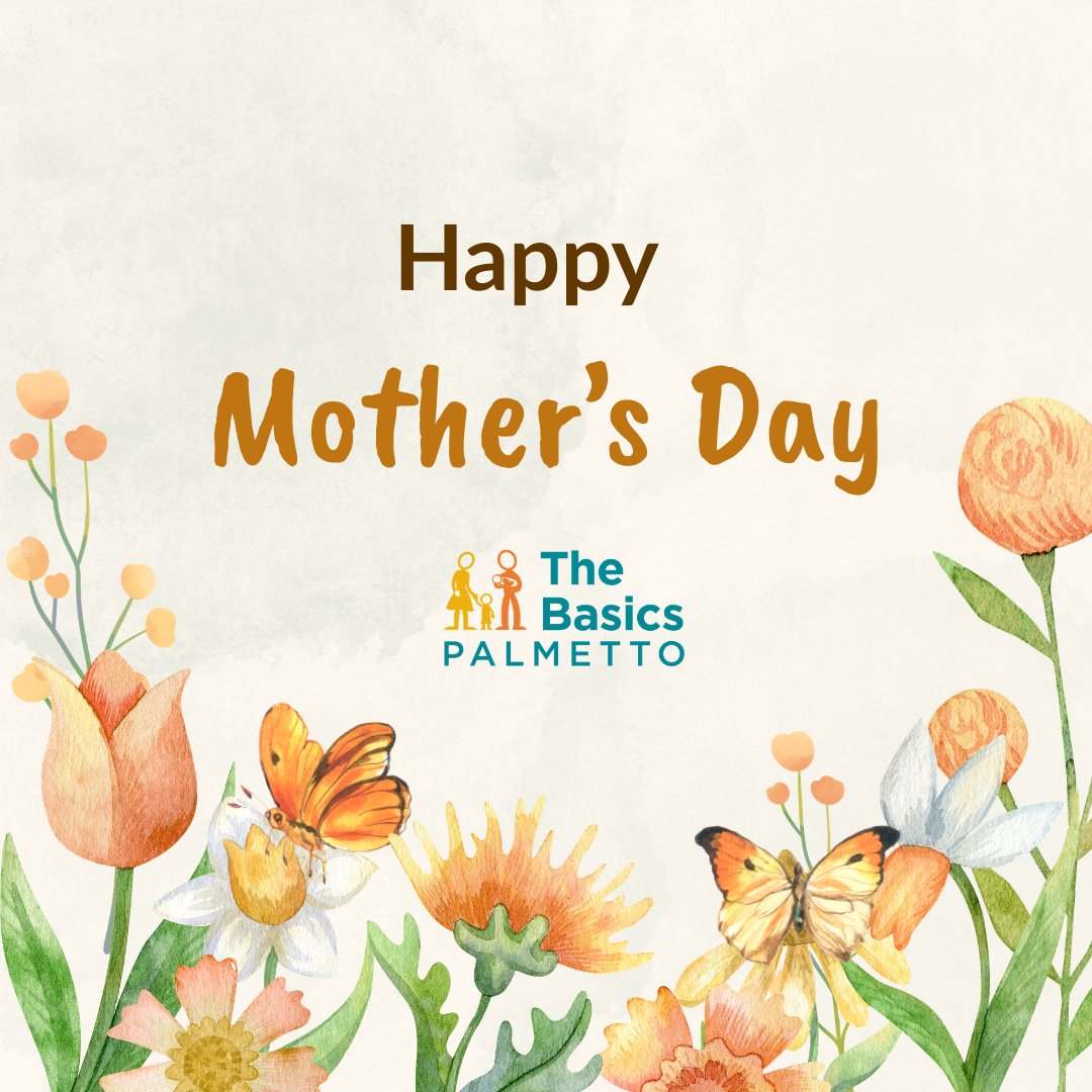 The Basics Palmetto tweet media