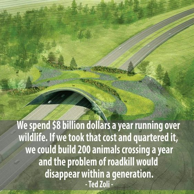 I'm not so sure about that math, but this bridge sure looks cool.