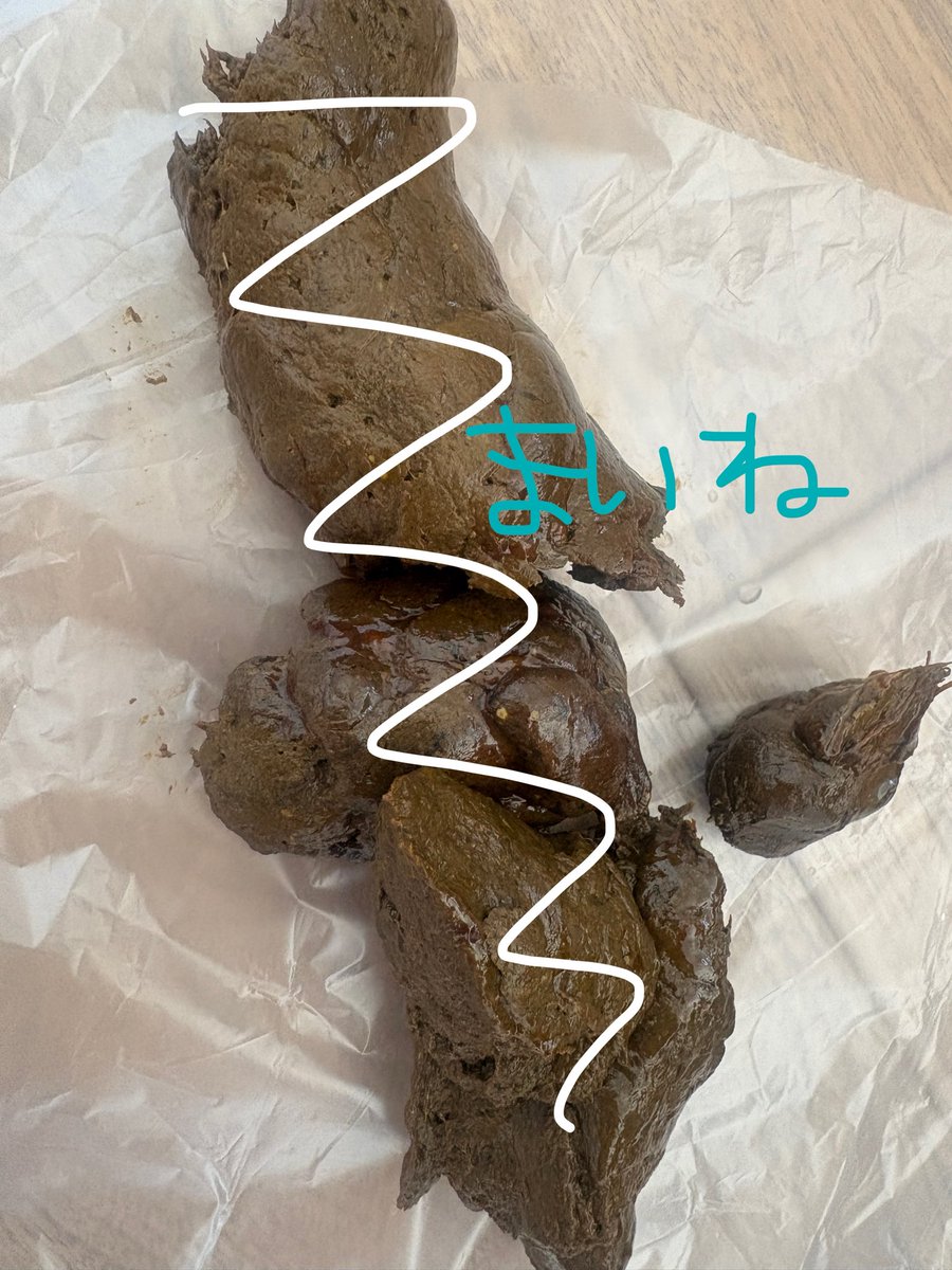 まいねちゃん♥ tweet media