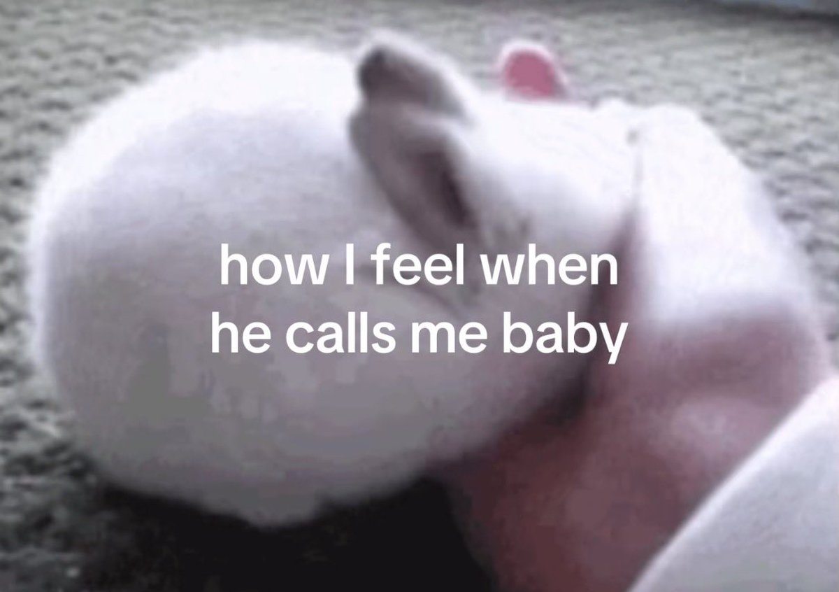 puppy ‧˚꒰🐾୭ ˚. ᵎᵎ tweet media