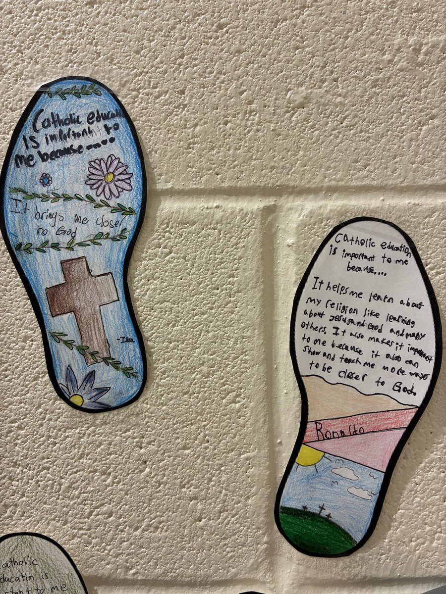 Our Lady of Lourdes tweet media