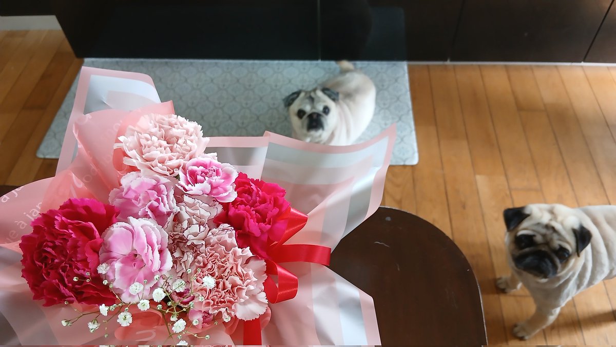 ぐぉぉぉぉーー 嫁ちゃんから母の日のお花が届いたよおぉぉぉーーーー
